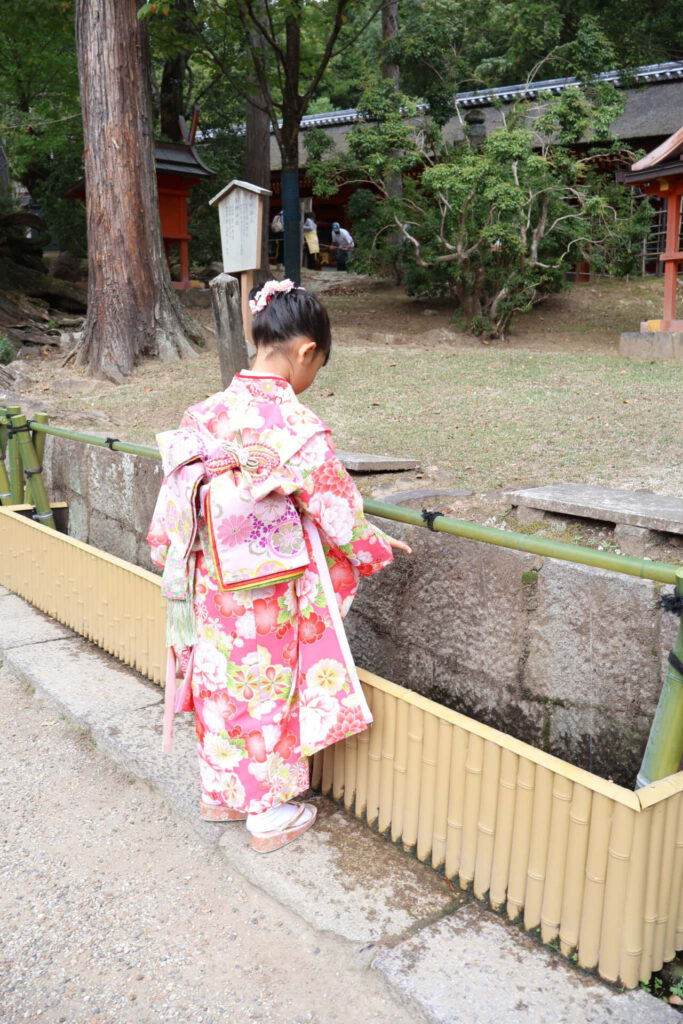 春日大社_奈良県奈良市_七五三お参り_7歳女の子_手水舎